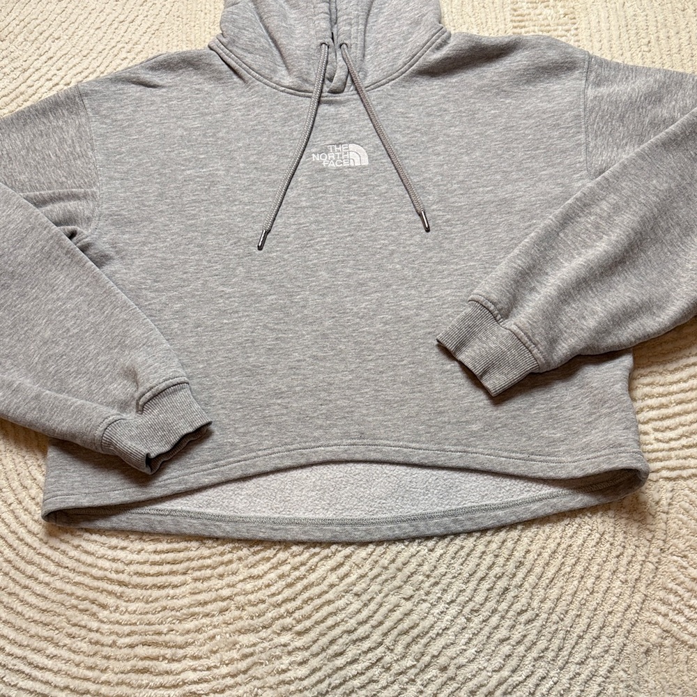 The North Face Evolution Gray Pullover Hoodie - image 3